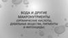Вода и другие макронутриенты (органические кислоты, дубильные вещества, пигменты и фитонциды)