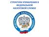 Структура управления в федеральной налоговой службе