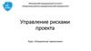 Управление рисками проекта