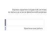 Оценка сердечно-сосудистой системы по пульсу до и после физической нагрузки