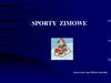 Sporty zimowe
