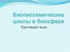 Биогеохимические циклы в биосфере. Круговорот воды