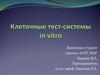 Клеточные тест-системы in vitro