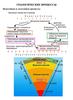 Геологические процессы. Эндогенные и экзогенные процессы