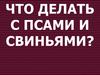 Что делать с псами и свиньями