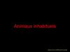 Animaux inhabituels