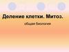Деление клетки. Митоз