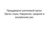 Преддверно-улитковый орган. Орган слуха. Наружное, среднее и внутреннее ухо