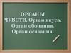 Органы чувств. Орган вкуса. Орган обоняния. Орган осязания
