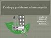 Ecology problems of metropolis