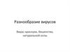 Разнообразие вирусов
