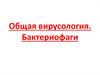 Общая вирусология. Бактериофаги