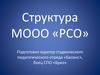 Структура МООО «РСО»