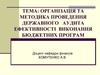 Організація та методика проведення державного аудита ефективності виконання бюджетних програм