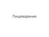 Пищеварение. Этапы энергетического обмена