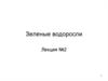 Зеленые водоросли