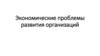 Экономические проблемы развития организаций