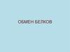 Обмен белков