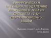 Хирургическая операция по удалению инородного тела из просвета двенадцатиперстной кишки у кошки