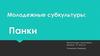 Молодежные субкультуры: панки