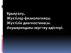 Ұрықтану. Жүктілер физиологиясы. Жүктілік диагностикасы. Акушериядағы зерттеу әдістері