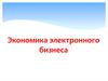 Экономика электронного бизнеса