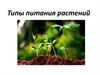Типы питания растений