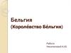Бельгия (Короле́вство Бе́льгия)