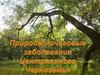Природно-очаговые заболевания Центрального Черноземья