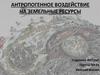 Антропогенное воздействие на земельные ресурсы