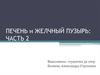 Печень и желчный пузырь: часть 2