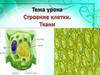 Строение клетки. Ткани