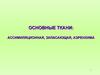 Основные ткани: ассимиляционная, запасающая, аэренхима