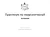 Практикум по неорганической химии