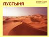 Пустыня. Обитатели пустыни