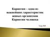 Кариотип – одна из важнейших характеристик живых организмов Кариотип человека