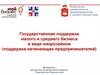 Государственная поддержка малого и среднего бизнеса в виде микрозаймов (поддержка начинающих предпринимателей)