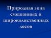 Природная зона смешанных и широколиственных лесов