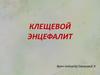 Клещевой энцефалит
