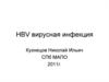 HBV вирусная инфекция