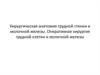 Хирургическая анатомия грудной стенки и молочной железы. Оперативная хирургия грудной клетки и молочной железы