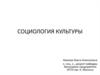 Социология культуры