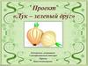 Проект «Лук – зеленый друг»