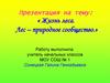 Жизнь леса. Лес – природное сообщество