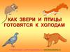 Как звери и птицы готовятся к холодам