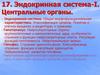 Эндокринная система - 1. Центральные органы