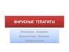 Вирусные гепатиты. Этиология. Клиника. Диагностика. Лечение. Профилактика