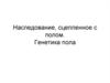Наследование, сцепленное с полом. Генетика пола