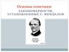 Основы генетики