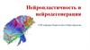 Нейропластичность и нейродегенерация